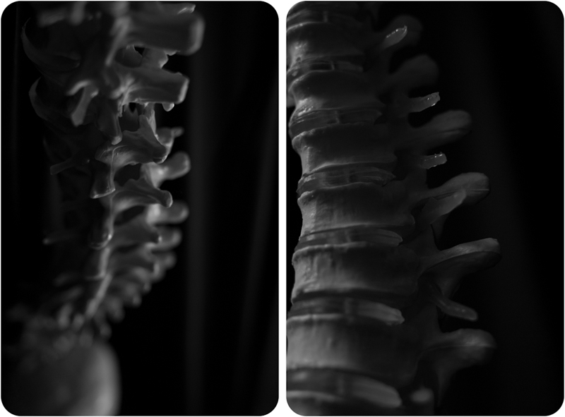 Jo Arellanes | Atlanta Photographer | Chiropractic Care | Spines