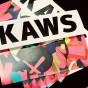 Atlanta Photographer | LeahAndMark.com | KAWS | High Museum of Art Atlanta | DJ Hurricane