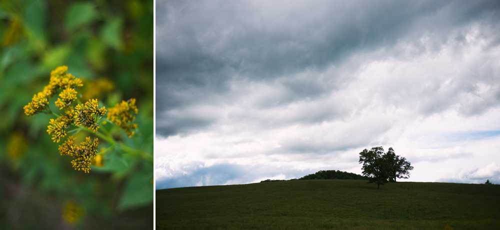 Engagement Session | Cumberland Gap | Forest | Nature | Mountains | Tennessee